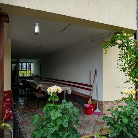 Pensiunea Elena Tasnad Exterior foto